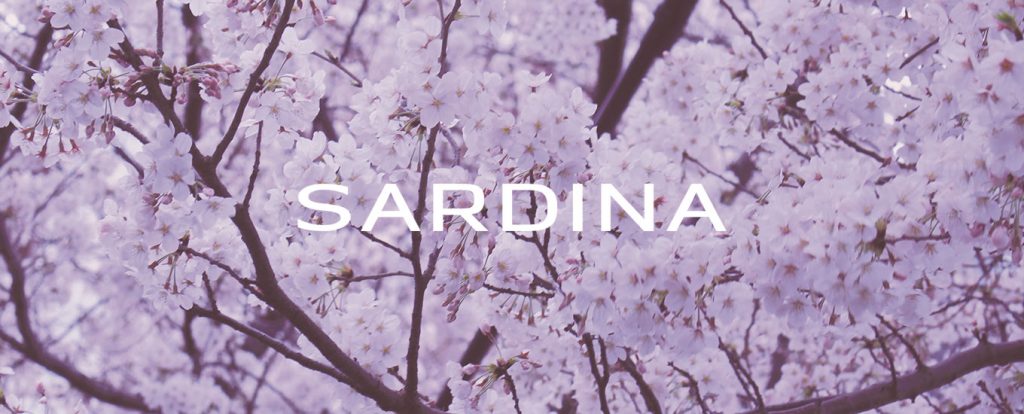Sardina Systems Announces Strategic Partnership with Rickey & Co in Japan